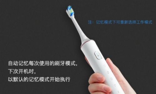 德国进口电动牙刷品牌大盘点 高品质口腔护理的选择